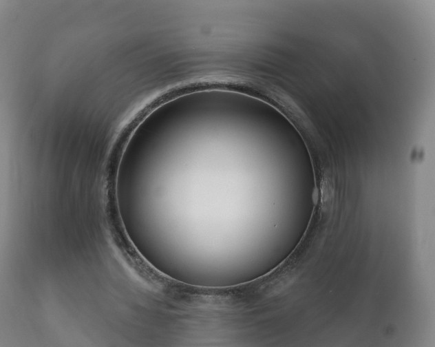 X0000112360436200908201506