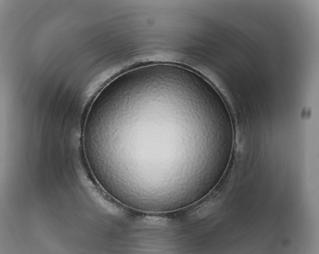 X0000112360437200908201506