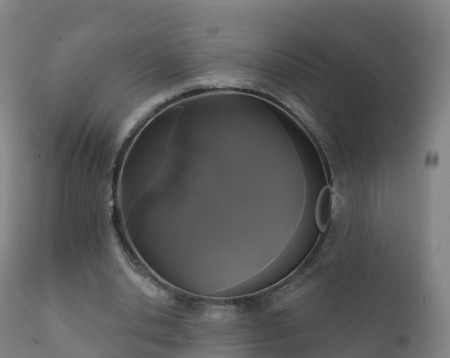 X0000112360438200908201506