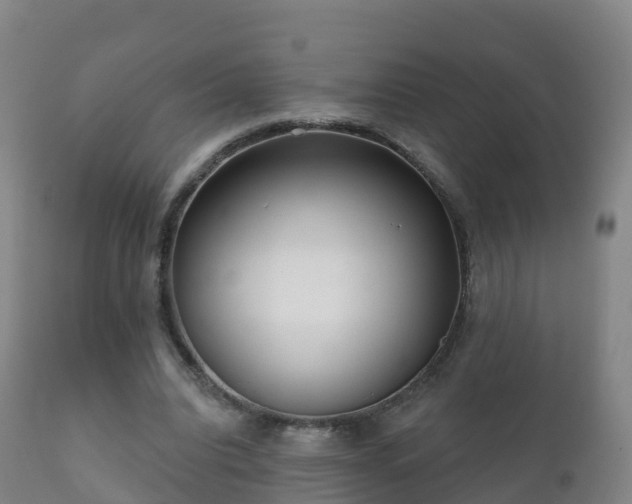 X0000112360440200908201506