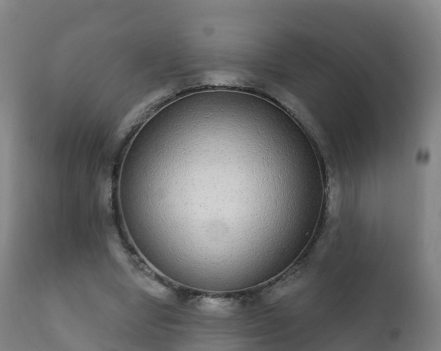 X0000112360442200908201506