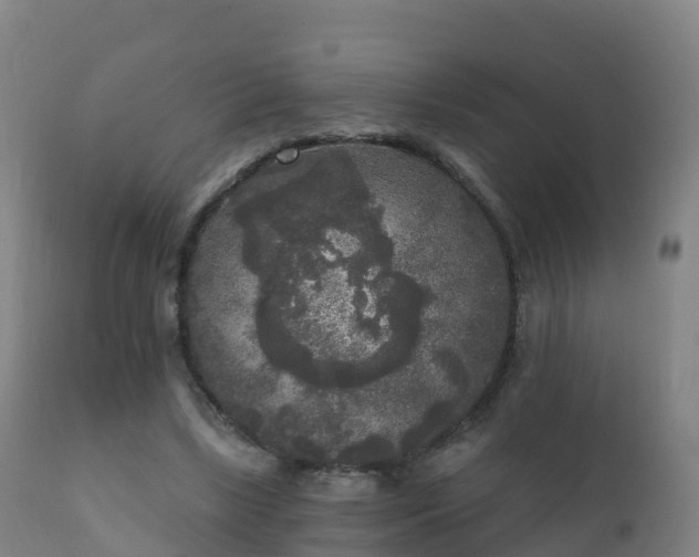 X0000112360443200908201506