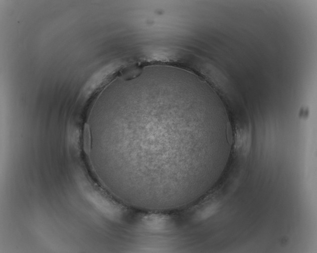 X0000112360444200908201506