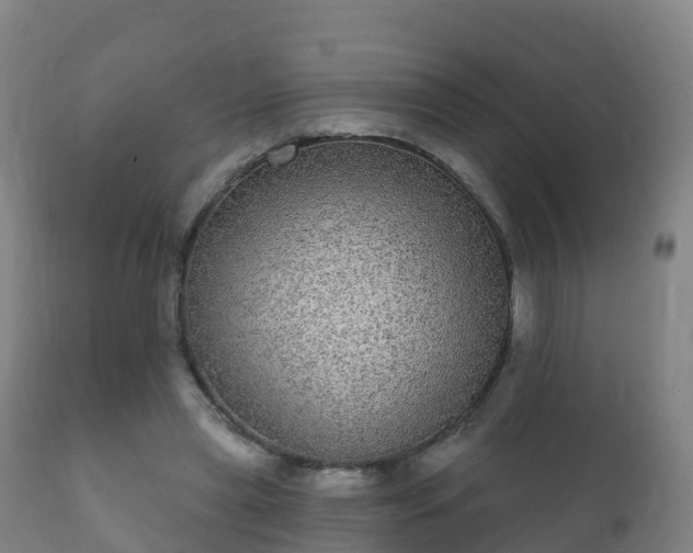 X0000112360445200908201506