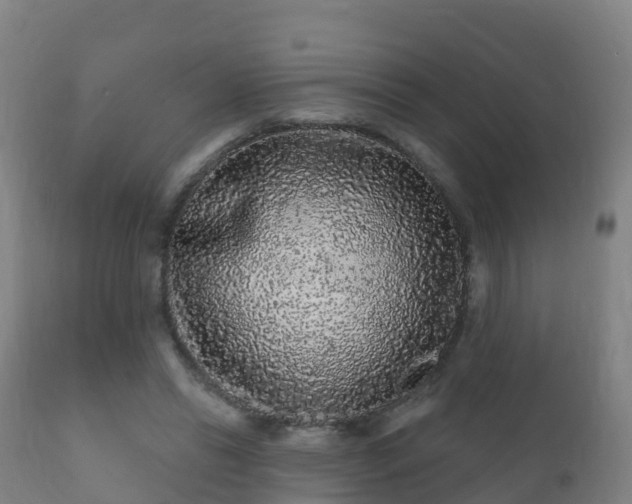 X0000112360446200908201506