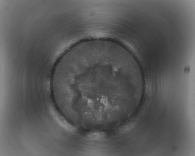 X0000112360447200908201506