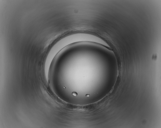 X0000112360448200908201506