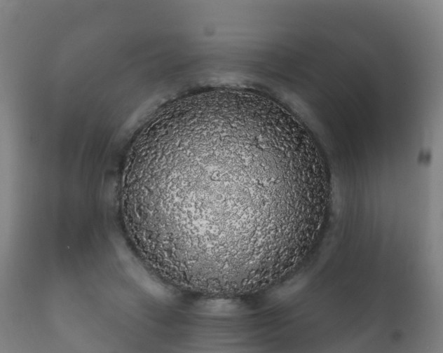 X0000112360449200908201507