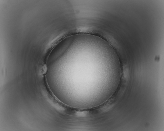 X0000112360450200908201507