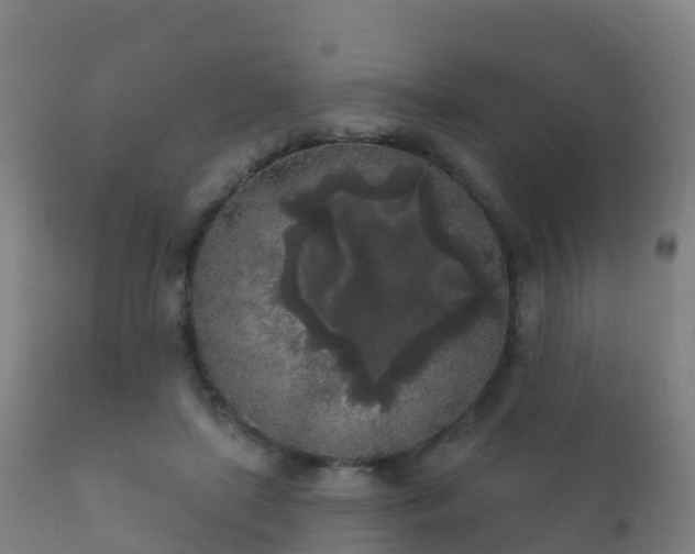 X0000112360451200908201507