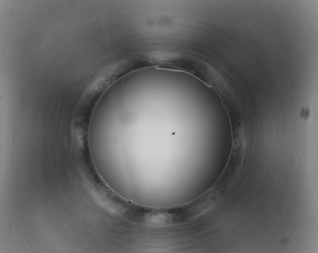 X0000112360452200908201507