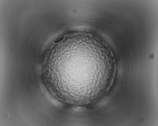 X0000112360453200908201507