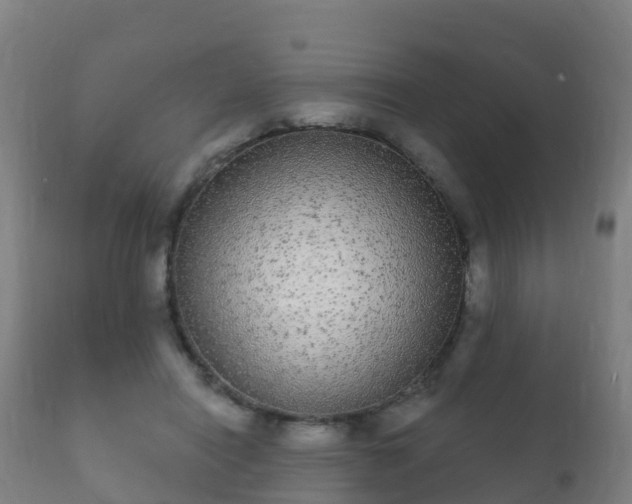 X0000112360454200908201507