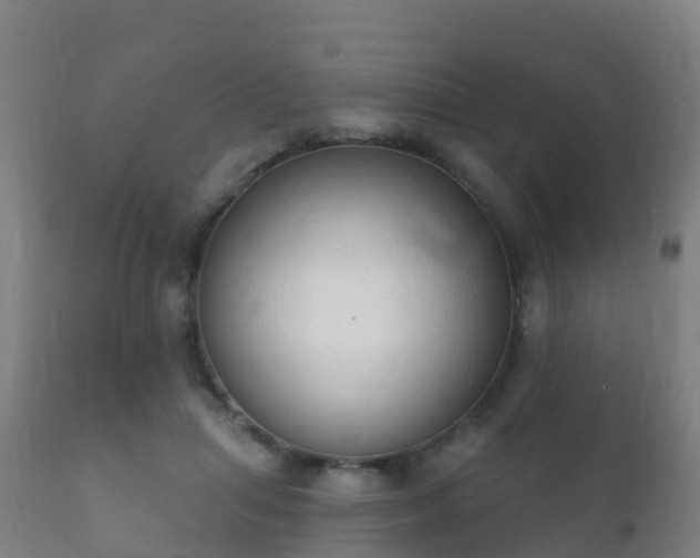 X0000112360455200908201507