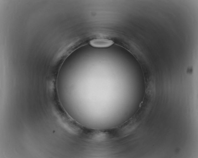 X0000112360456200908201507