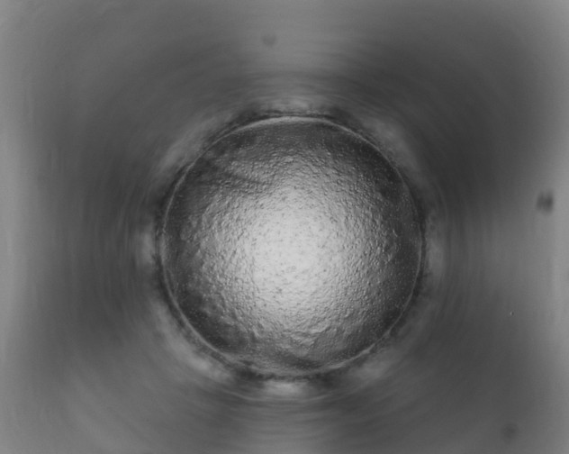 X0000112360457200908201507