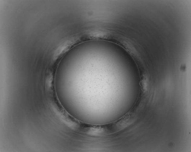 X0000112360458200908201507