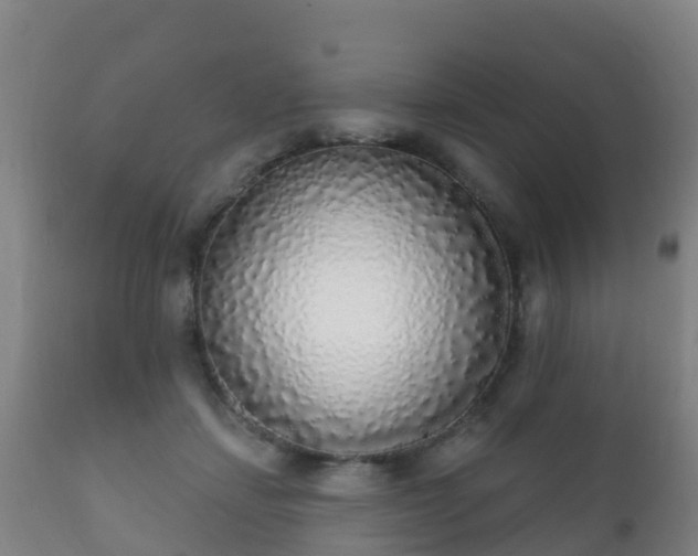 X0000112360459200908201507