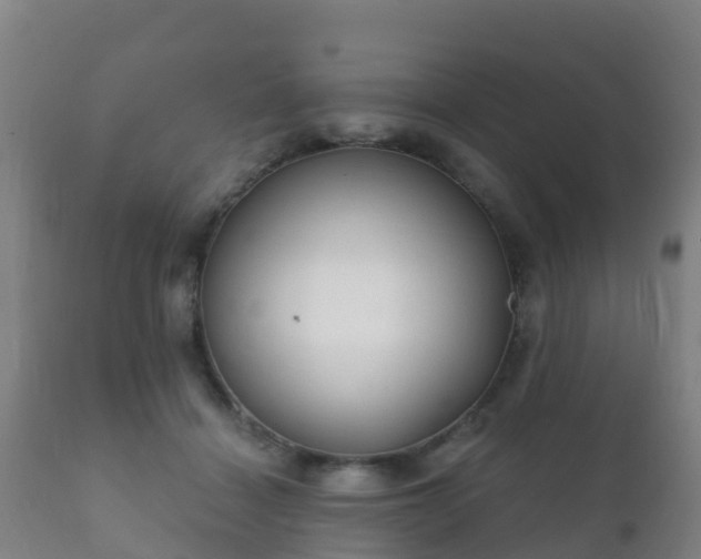 X0000112360460200908201507