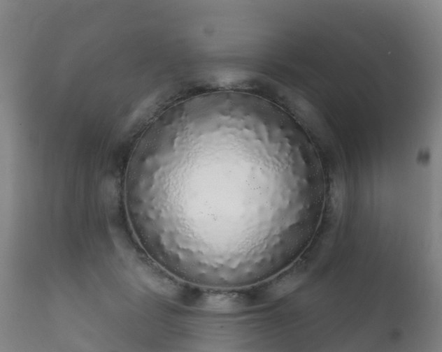 X0000112360461200908201507