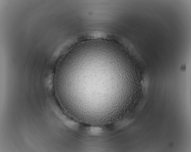 X0000112360462200908201507