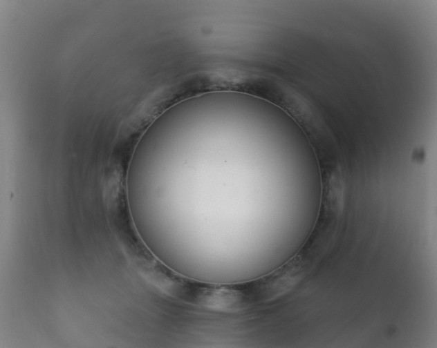 X0000112360463200908201507