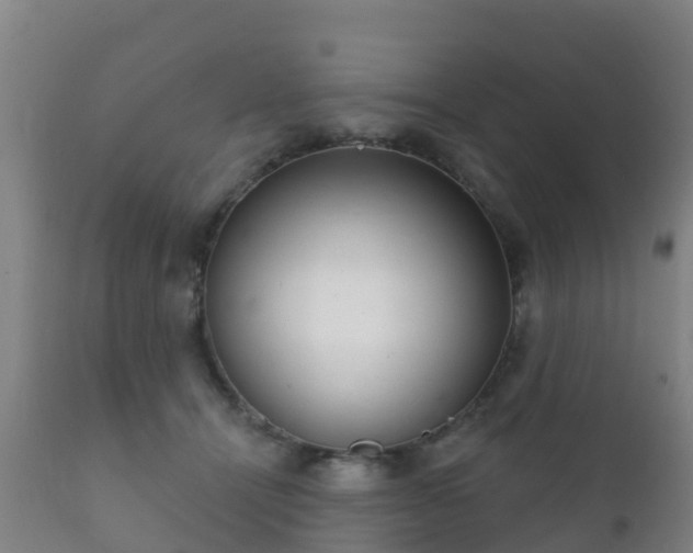 X0000112360464200908201507