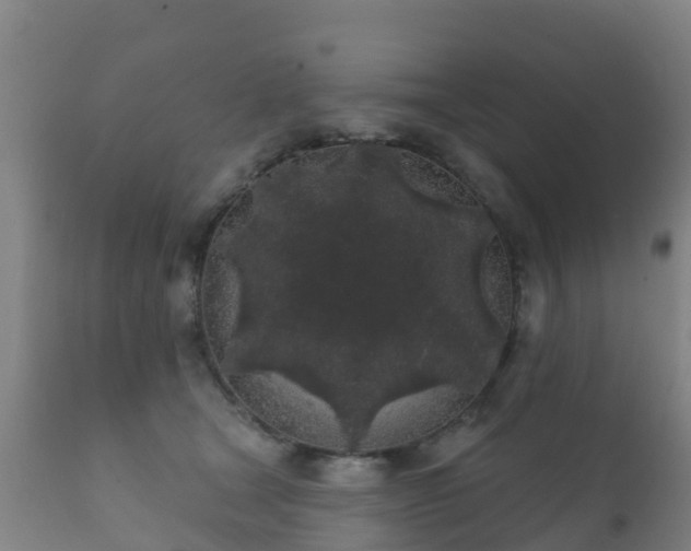 X0000112360465200908201507