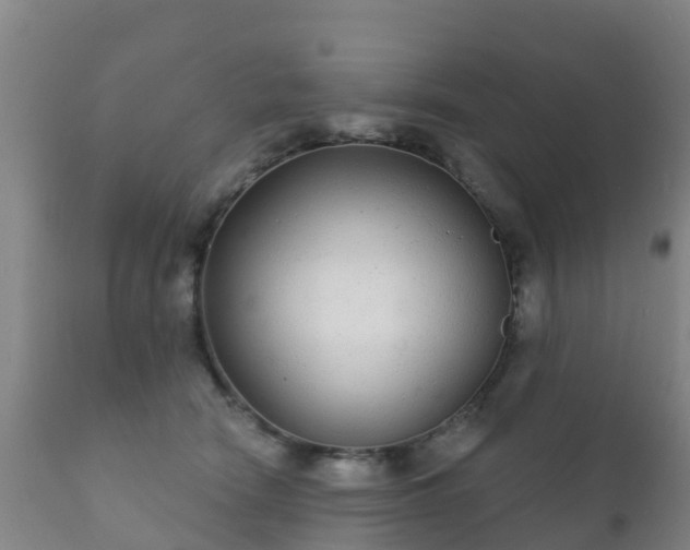 X0000112360466200908201507