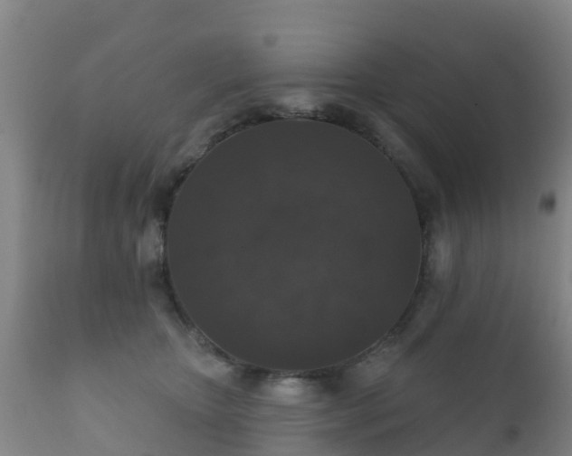 X0000112360467200908201507