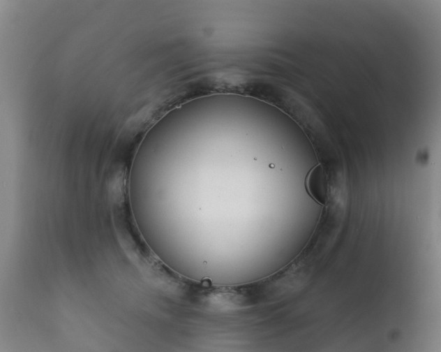 X0000112360468200908201507