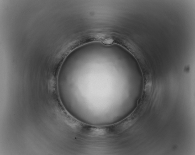 X0000112360469200908201507