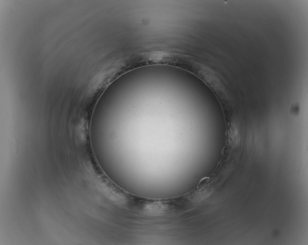 X0000112360470200908201507