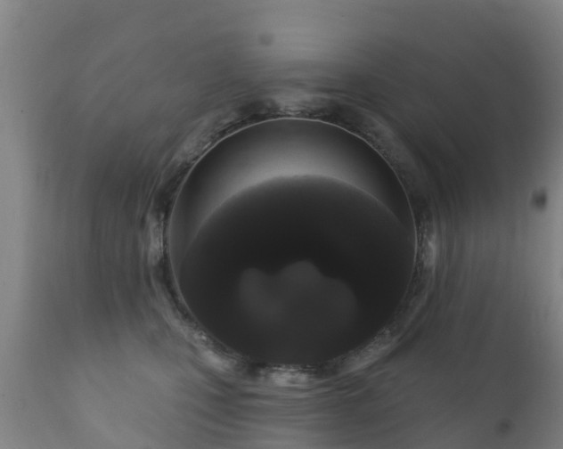 X0000112360471200908201507