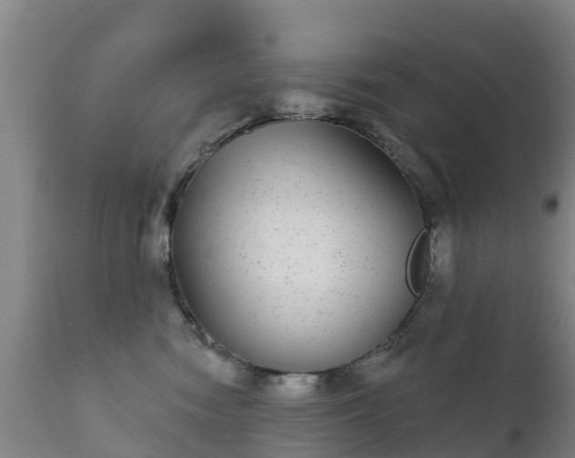 X0000112360474200908201507