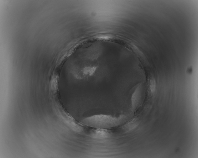 X0000112360475200908201507