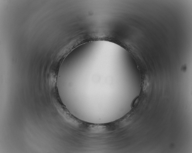 X0000112360476200908201507