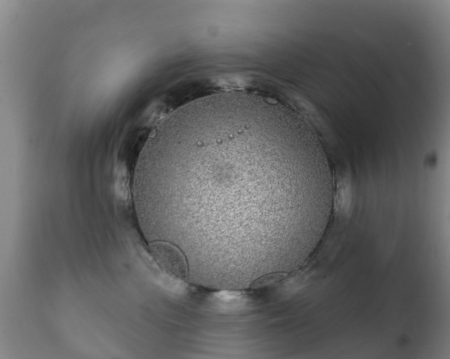 X0000112360477200908201507