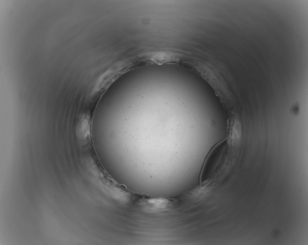 X0000112360478200908201507