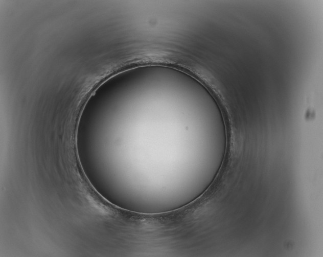 X0000112360481200908201506