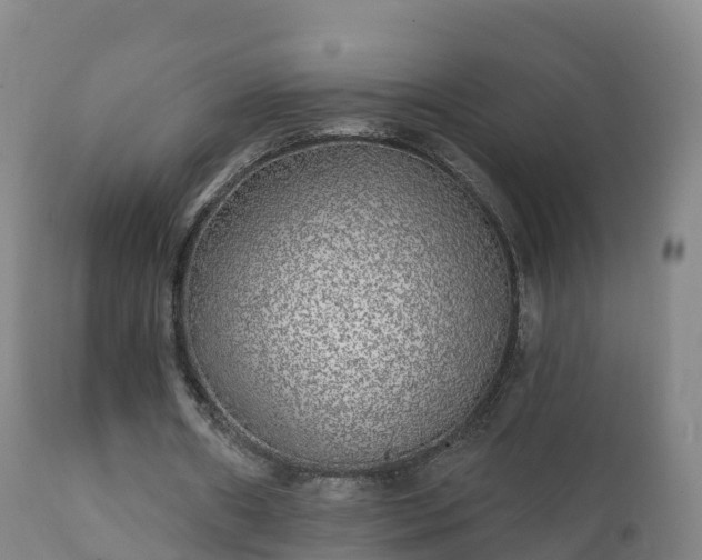 X0000112360482200908201506