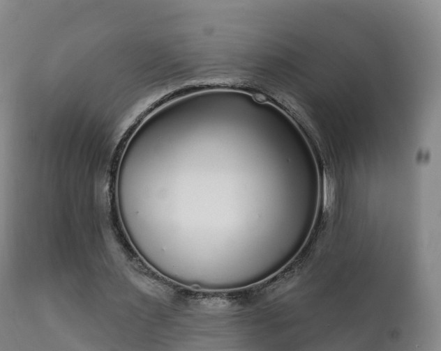 X0000112360483200908201506