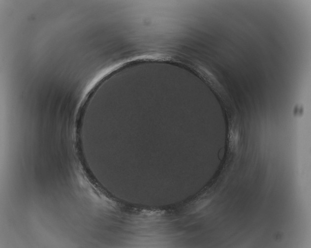 X0000112360484200908201506