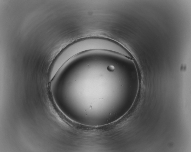 X0000112360485200908201506