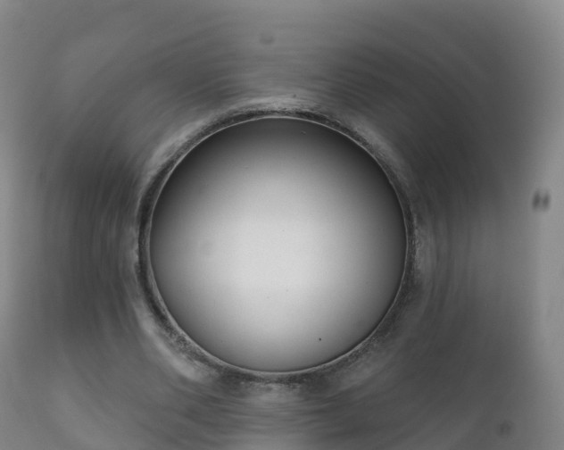 X0000112360486200908201506