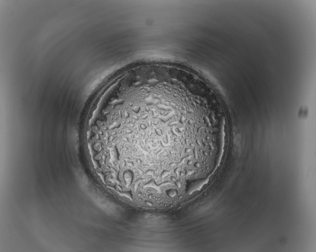 X0000112360487200908201506