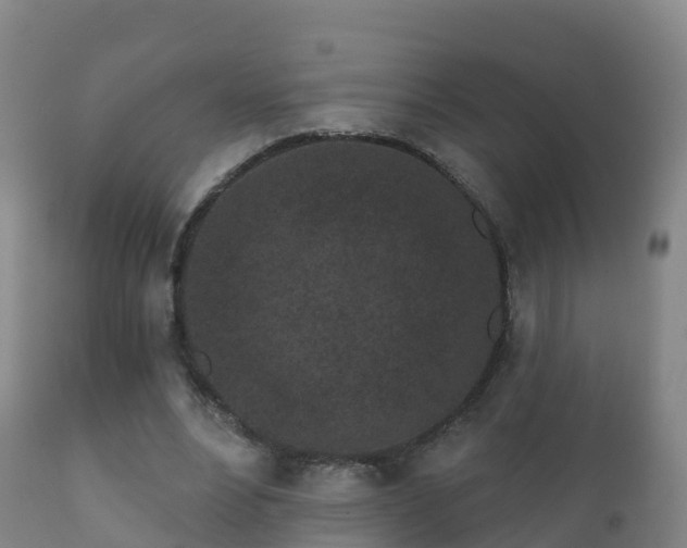 X0000112360488200908201506