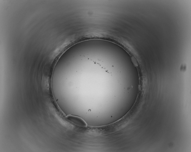 X0000112360489200908201506