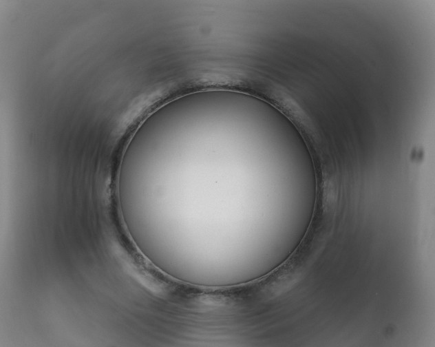 X0000112360490200908201506