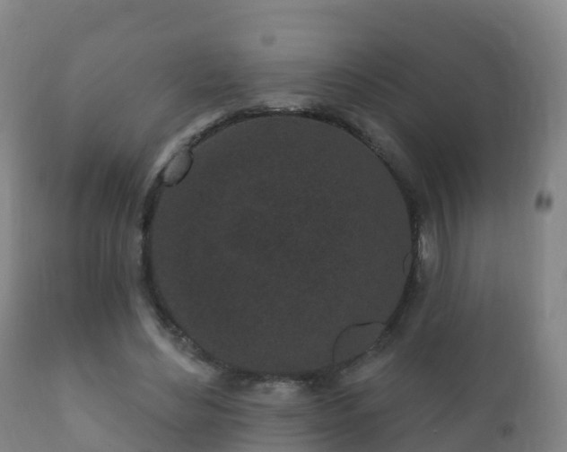 X0000112360492200908201506